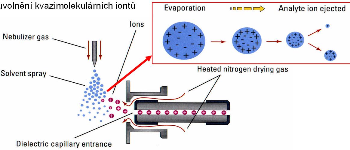 MS IONIZAČNÍ TECHNIKY API TECHNIKY ESI IONIZACE ELEKTROSPREJEM (ESI) analyt je rozpuštěn ve vhodném eluentu a přiveden kovovou kapilárou s napětím 3 5 kv kapalina je rozprášena pomocí zmlžujícího