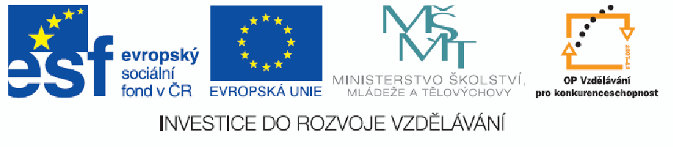 Využití kruhového provozu v základní gymnastice Soňa Formánková, Jiří Buben, Jana Míčková Oponenti: Mgr. Martina Poláková Mgr.