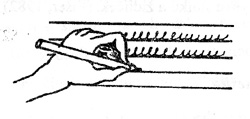 C) Držení tužky, pera Dítě drží tužku/pero v levé ruce podobně (zrcadlově) jako pravák v ruce pravé. (Sovák, 1985) Pero/tužku drží dítě třemi prsty levé ruky.