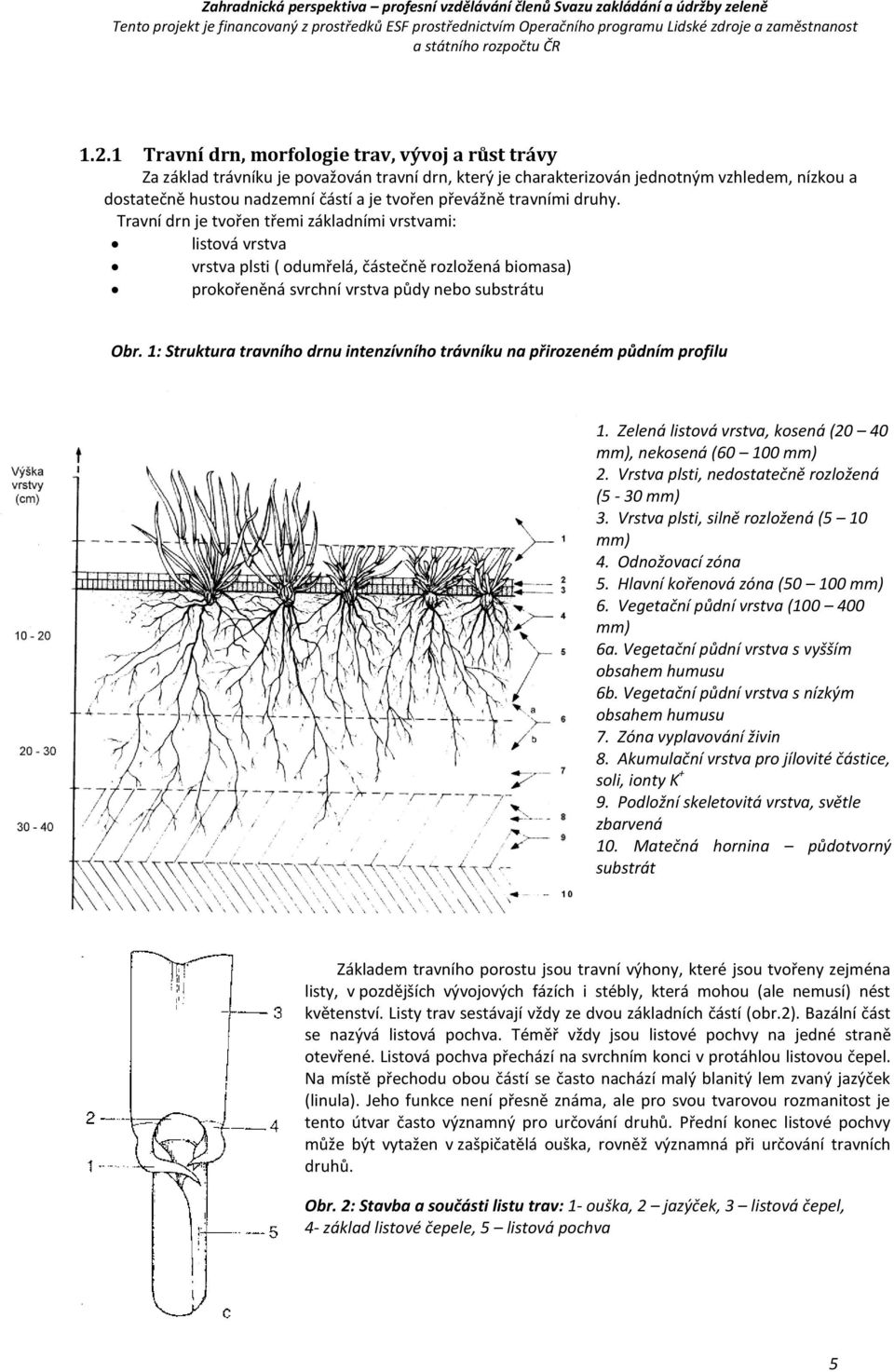 1: Struktura travního drnu intenzívního trávníku na přirozeném půdním profilu 1. Zelená listová vrstva, kosená (20 40 mm), nekosená (60 100 mm) 2. Vrstva plsti, nedostatečně rozložená (5-30 mm) 3.