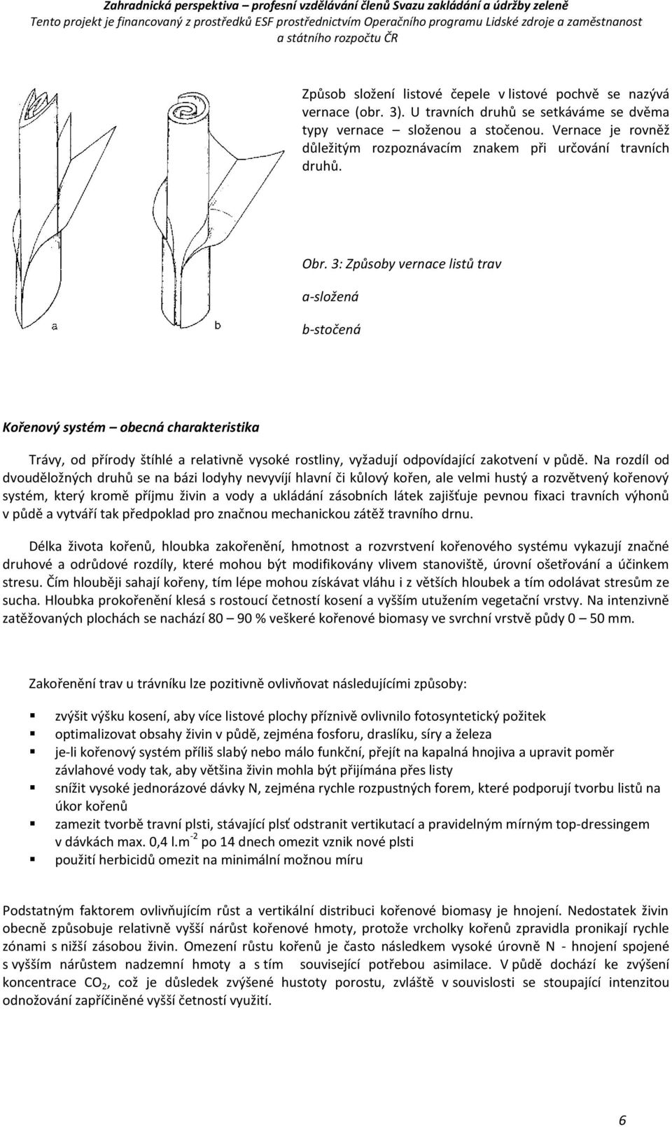 3: Způsoby vernace listů trav a-složená b-stočená Kořenový systém obecná charakteristika Trávy, od přírody štíhlé a relativně vysoké rostliny, vyžadují odpovídající zakotvení v půdě.