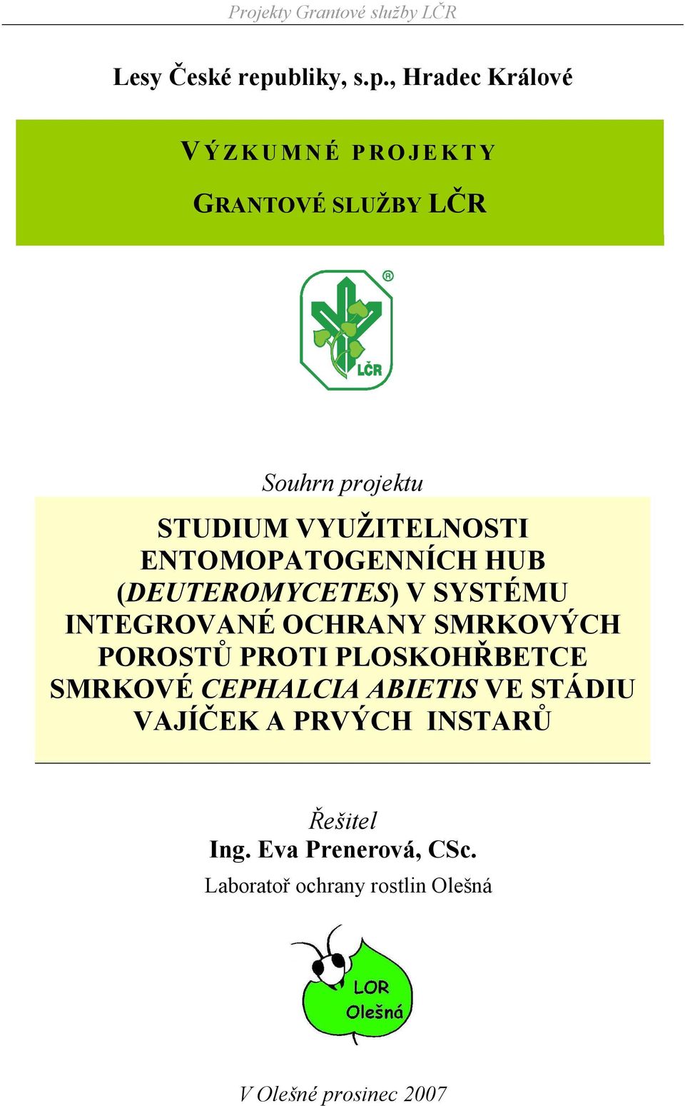 , Hradec Králové V Ý Z K U M N É P R O J E K T Y GRANTOVÉ SLUŽBY LČR Souhrn projektu STUDIUM