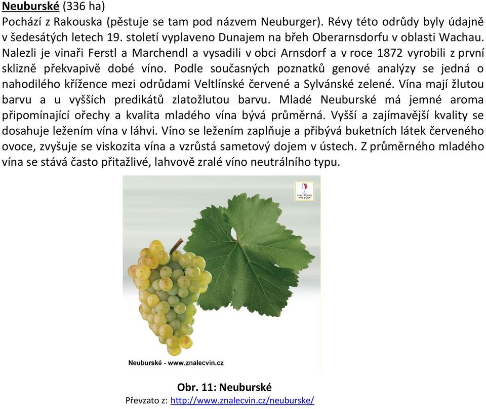 Podle současných poznatků genové analýzy se jedná o nahodilého křížence mezi odrůdami Veltlínské červené a Sylvánské zelené. Vína mají žlutou barvu a u vyšších predikátů zlatožlutou barvu.