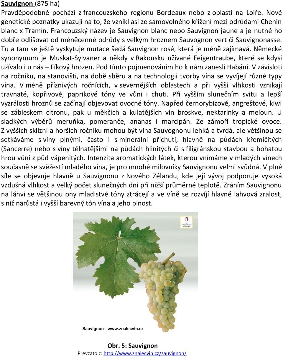 Francouzský název je Sauvignon blanc nebo Sauvignon jaune a je nutné ho dobře odlišovat od méněcenné odrůdy s velkým hroznem Sauvognon vert či Sauvignonasse.