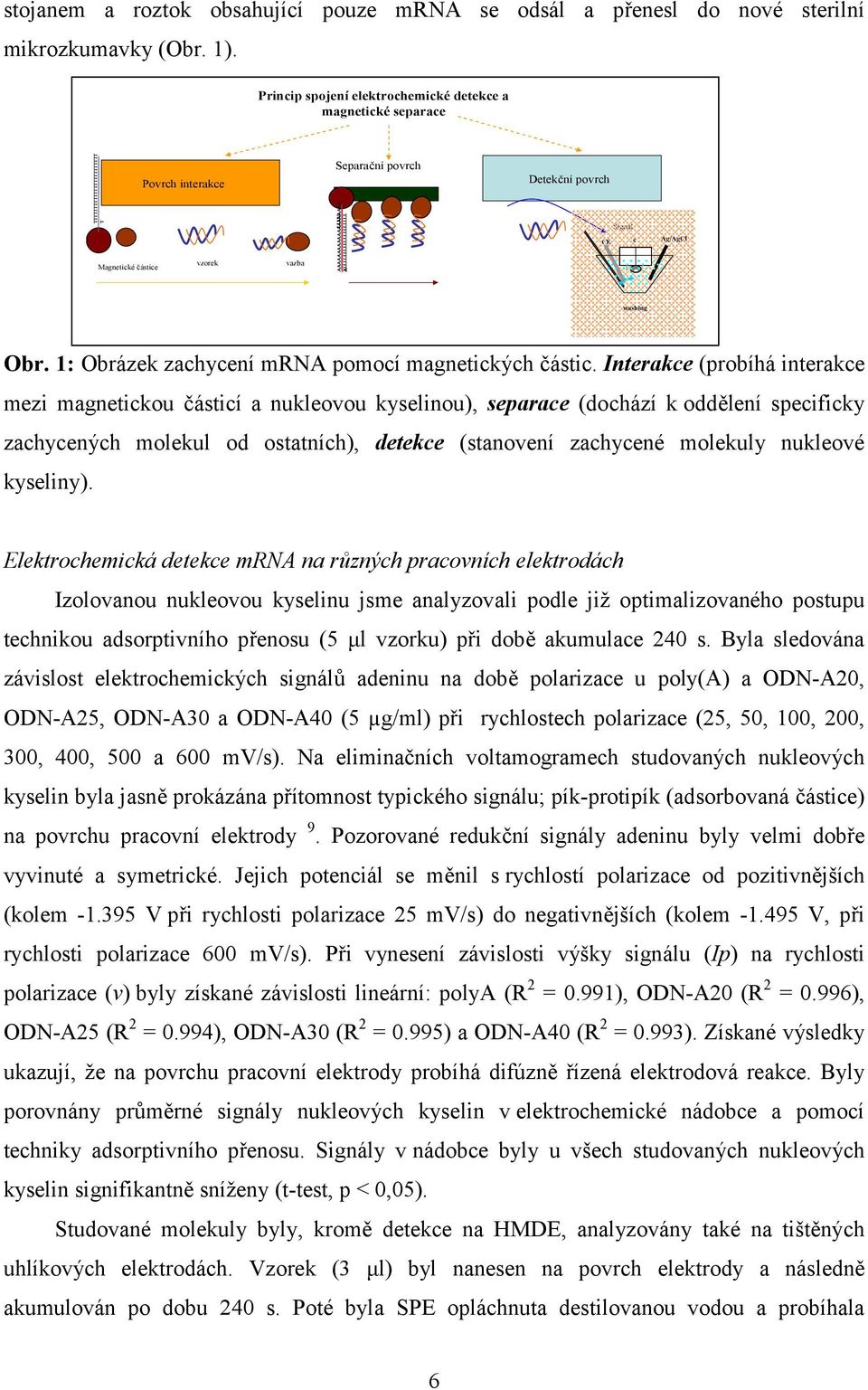 A Detekčnípovrch Signal CE e Ag/AgCl washing Obr. 1: Obrázek zachycení mrna pomocí magnetických částic.