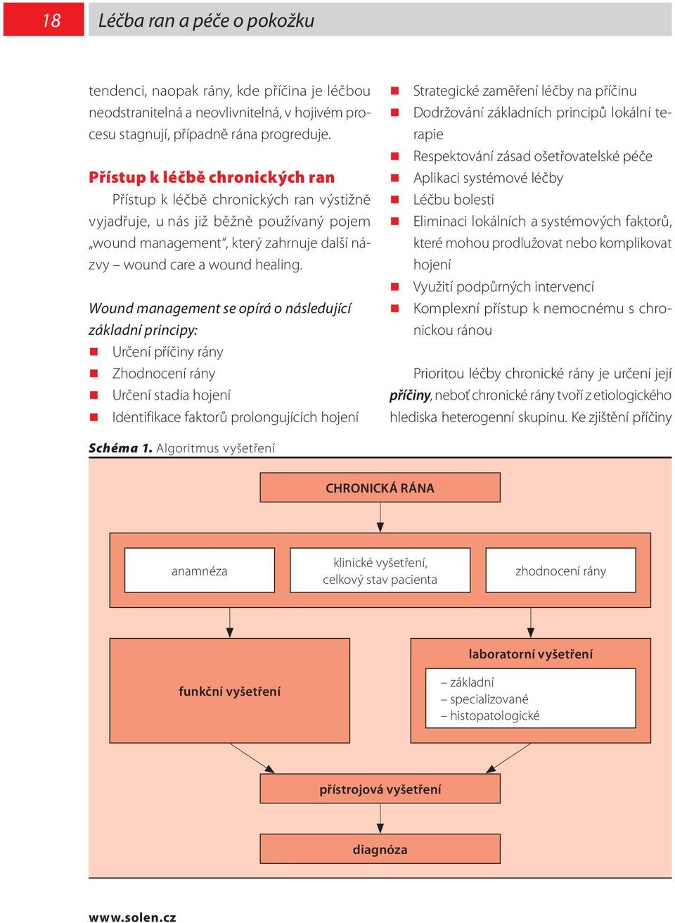 Wound management se opírá o následující základní principy: Určení příčiny rány Zhodnocení rány Určení stadia hojení Identifikace faktorů prolongujících hojení Strategické zaměření léčby na příčinu