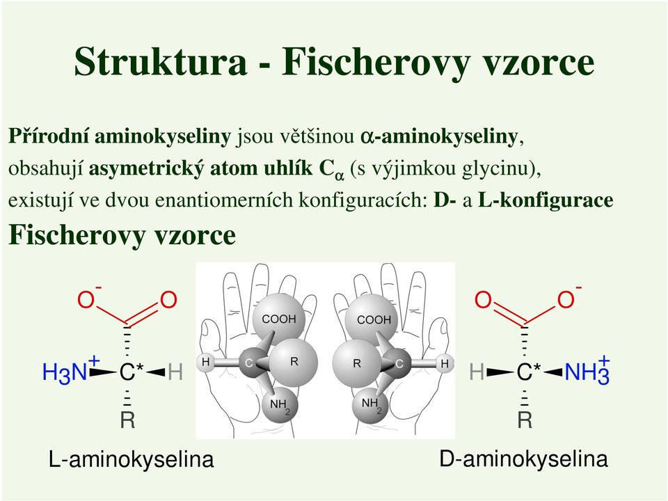 glycinu), existují ve dvou enantiomerních konfiguracích: D- a