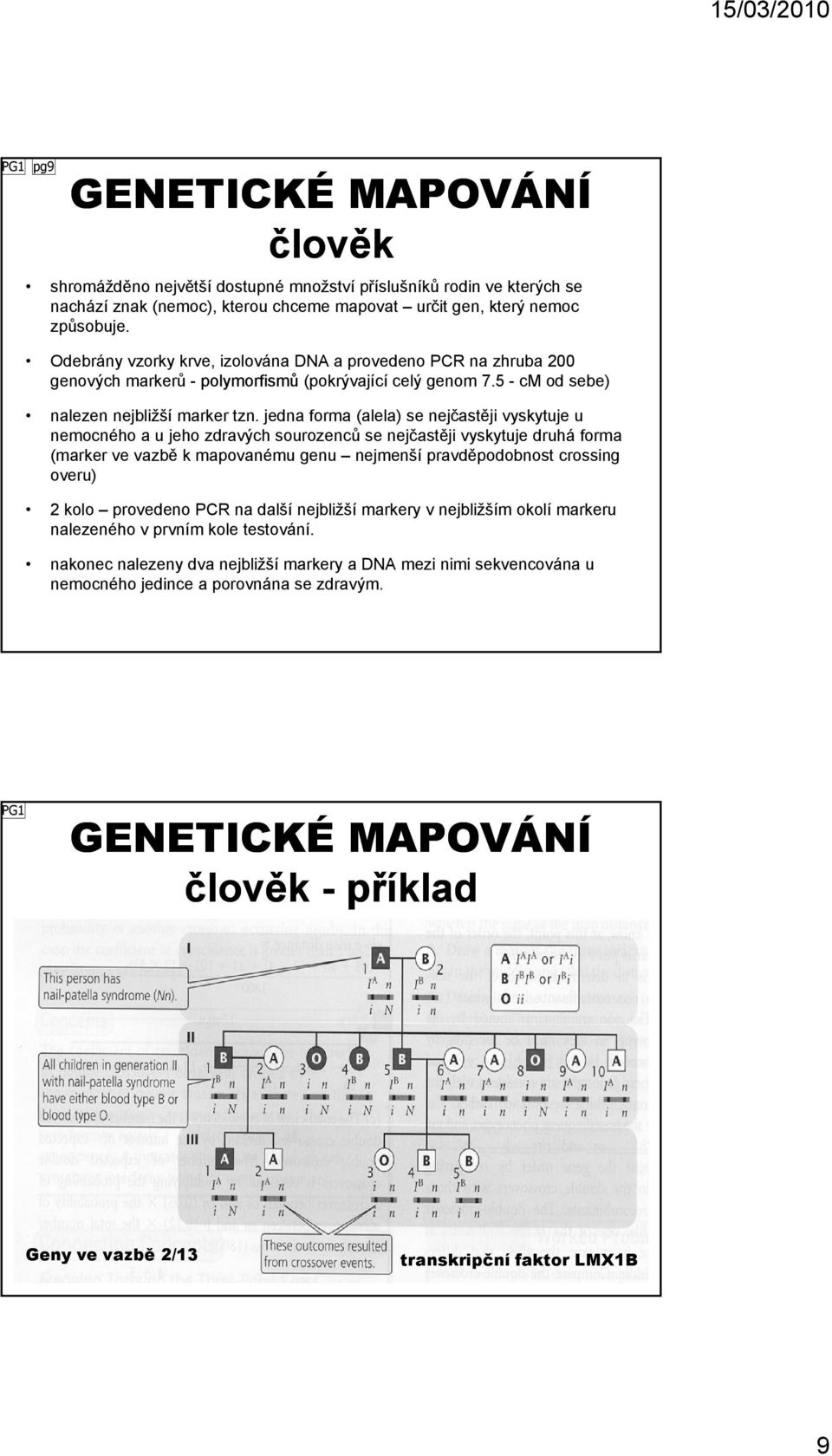 jedna forma (alela) se nejčastěji vyskytuje u nemocného a u jeho zdravých sourozenců se nejčastěji vyskytuje druhá forma (marker ve vazbě k mapovanému genu nejmenší pravděpodobnost crossing overu) 2