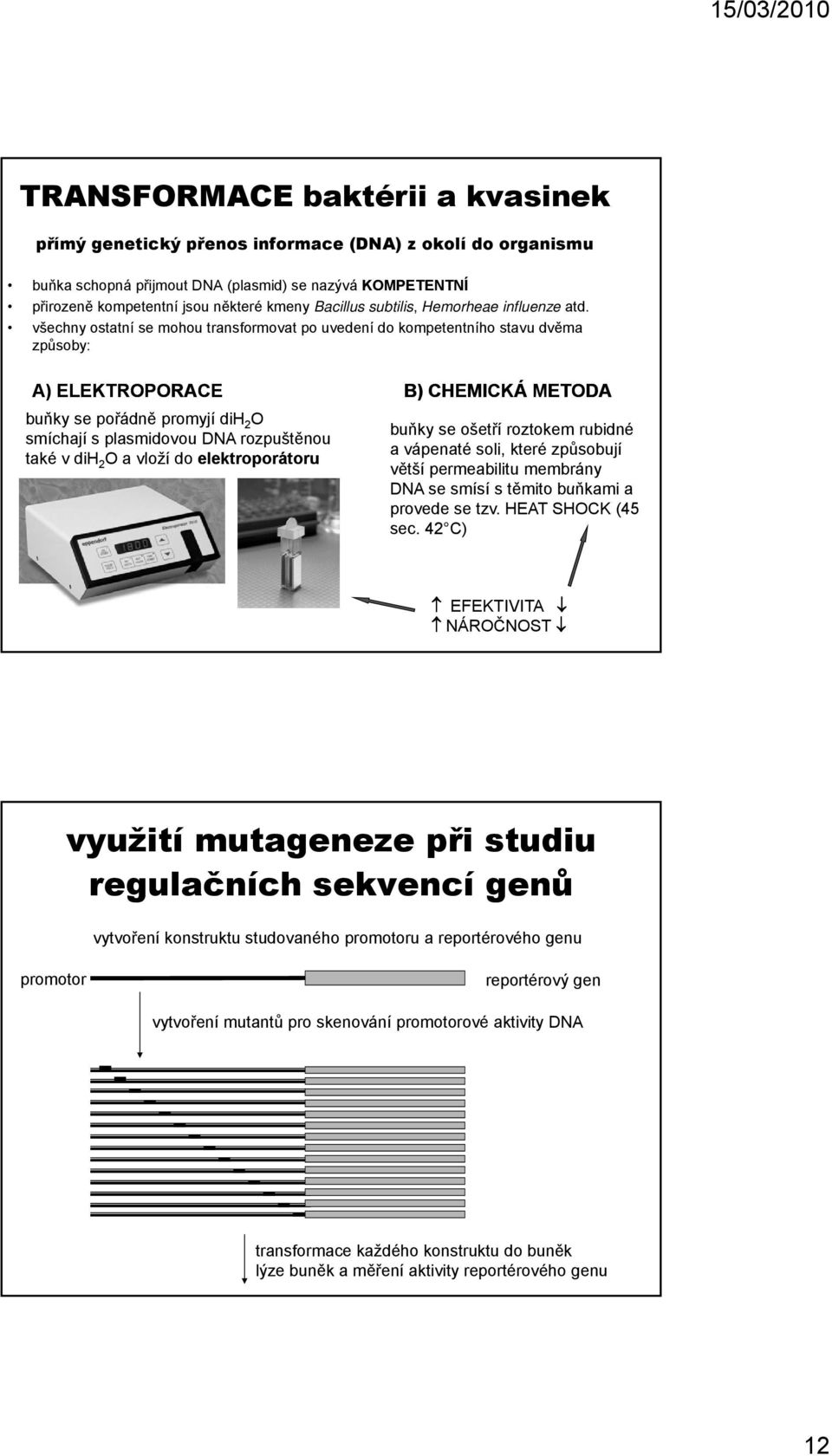 všechny ostatní se mohou transformovat po uvedení do kompetentního stavu dvěma ě způsoby: A) ELEKTROPORACE B) CHEMICKÁ METODA buňky se pořádně promyjí dih 2 O smíchají s plasmidovou DNA rozpuštěnou