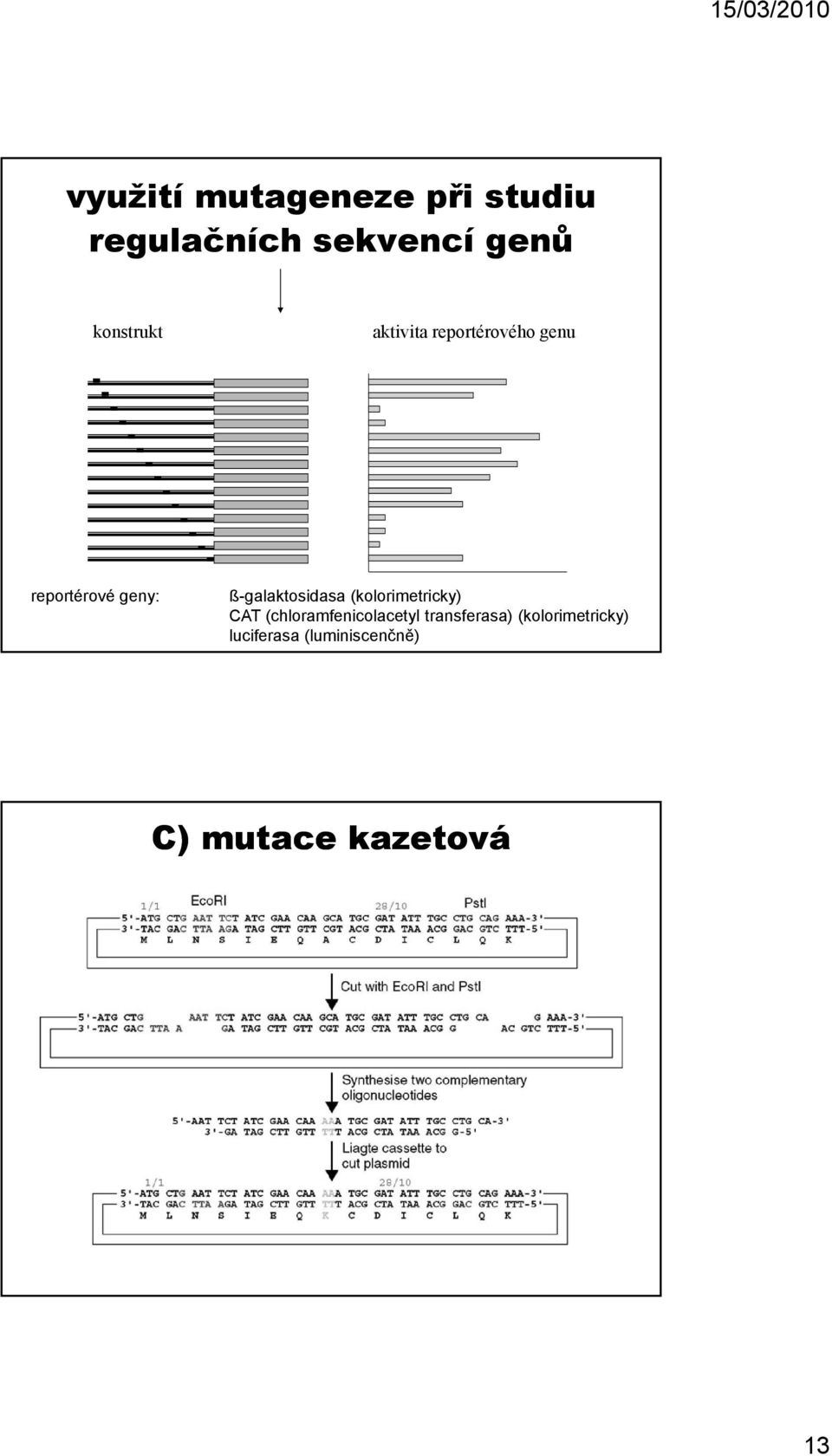 ß-galaktosidasa (kolorimetricky) CAT (chloramfenicolacetyl