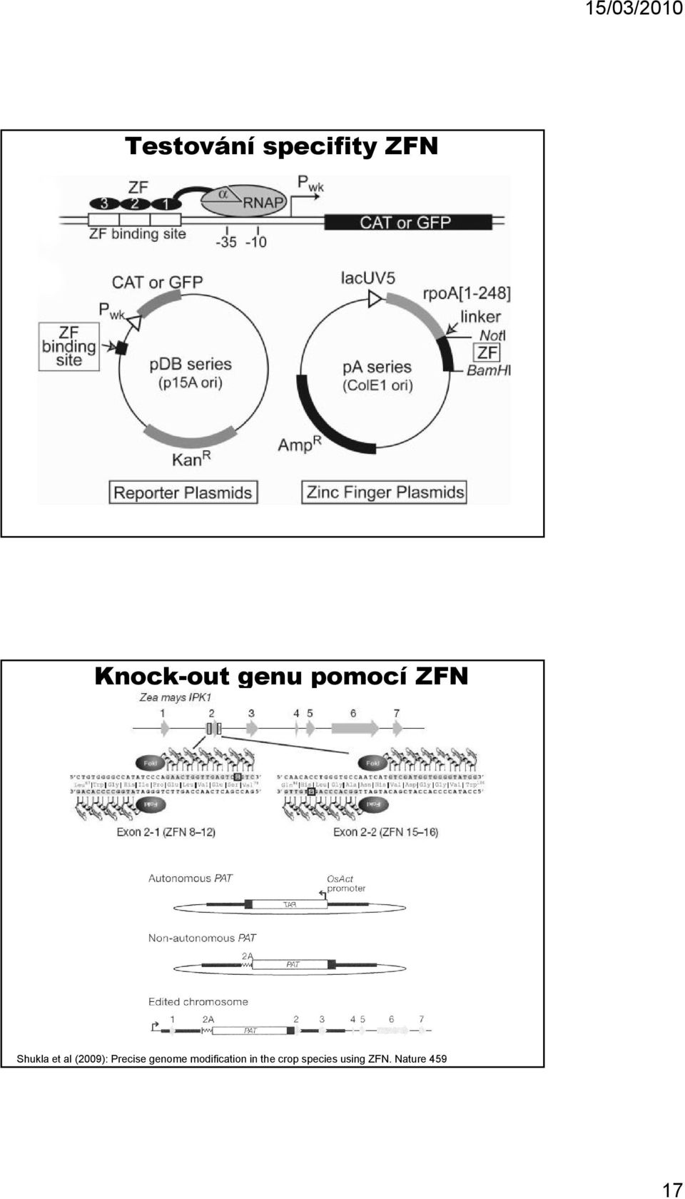 (2009): Precise genome modification