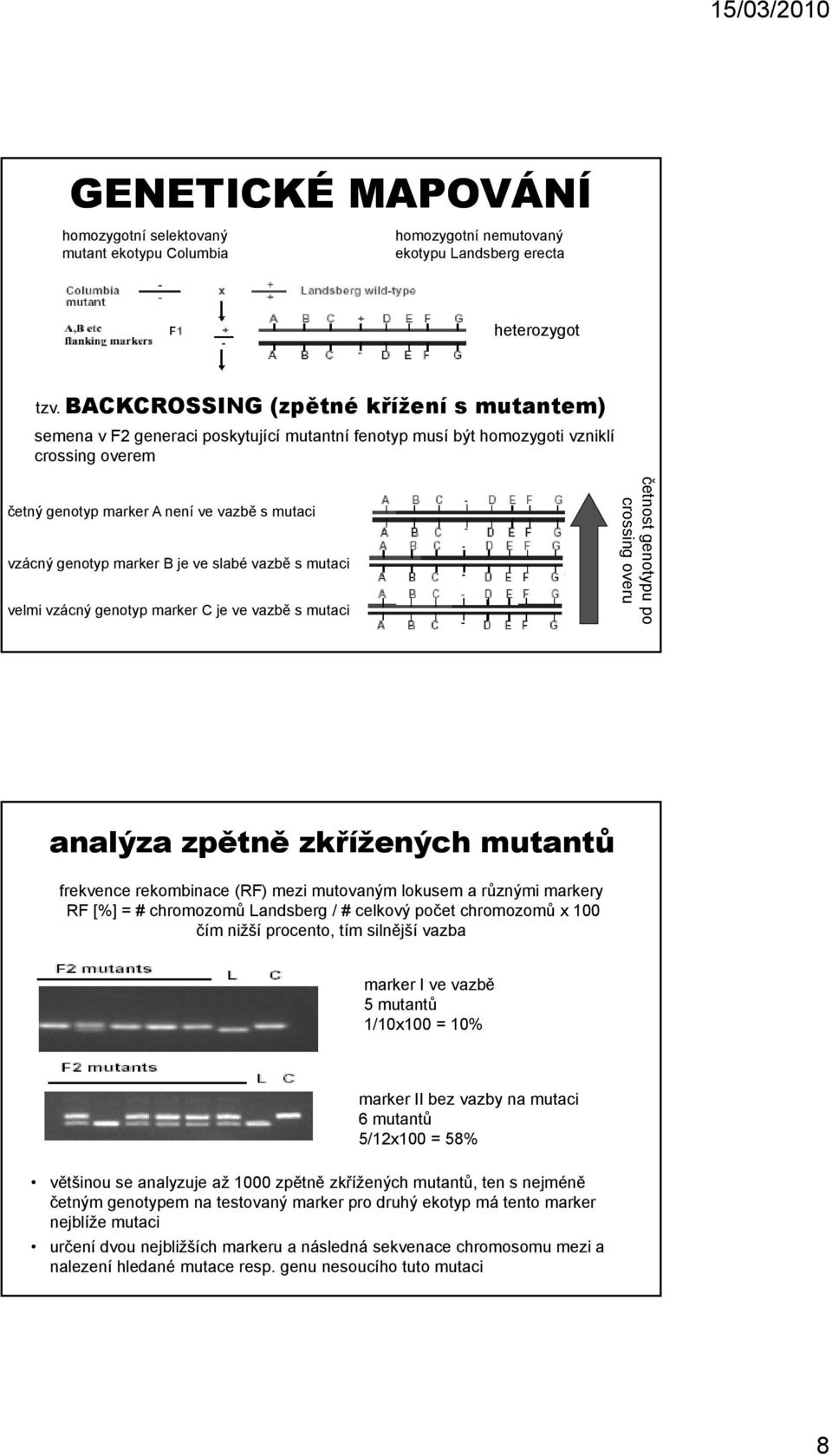 marker B je ve slabé vazbě s mutaci velmi vzácný genotyp marker C je ve vazbě s mutaci četnost genotypu po crossing overu analýza zpětně zkřížených mutantů frekvence rekombinace (RF) mezi mutovaným