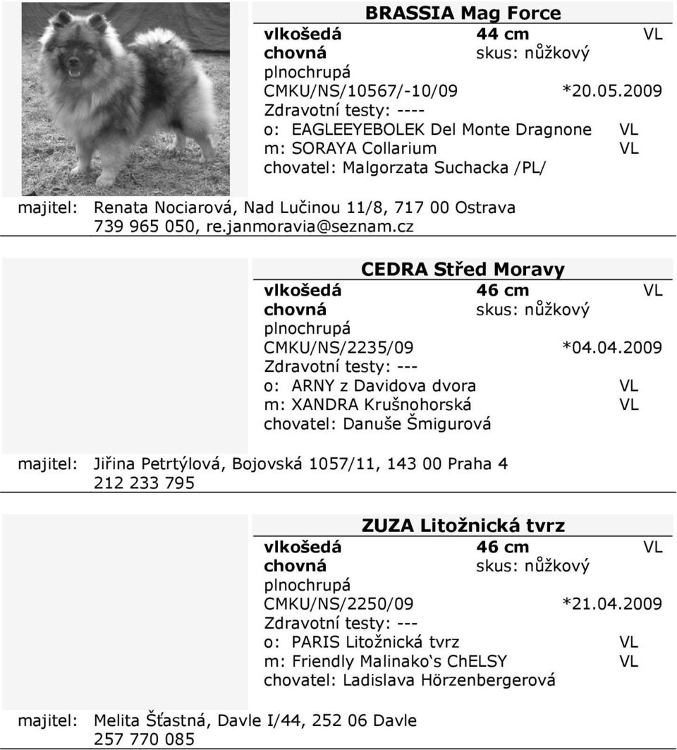 2009 - o: EAGLEEYEBOLEK Del Monte Dragnone m: SORAYA Collarium chovatel: Malgorzata Suchacka /PL/ majitel: Renata Nociarová, Nad Lučinou 11/8, 717 00 Ostrava 739 965 050,