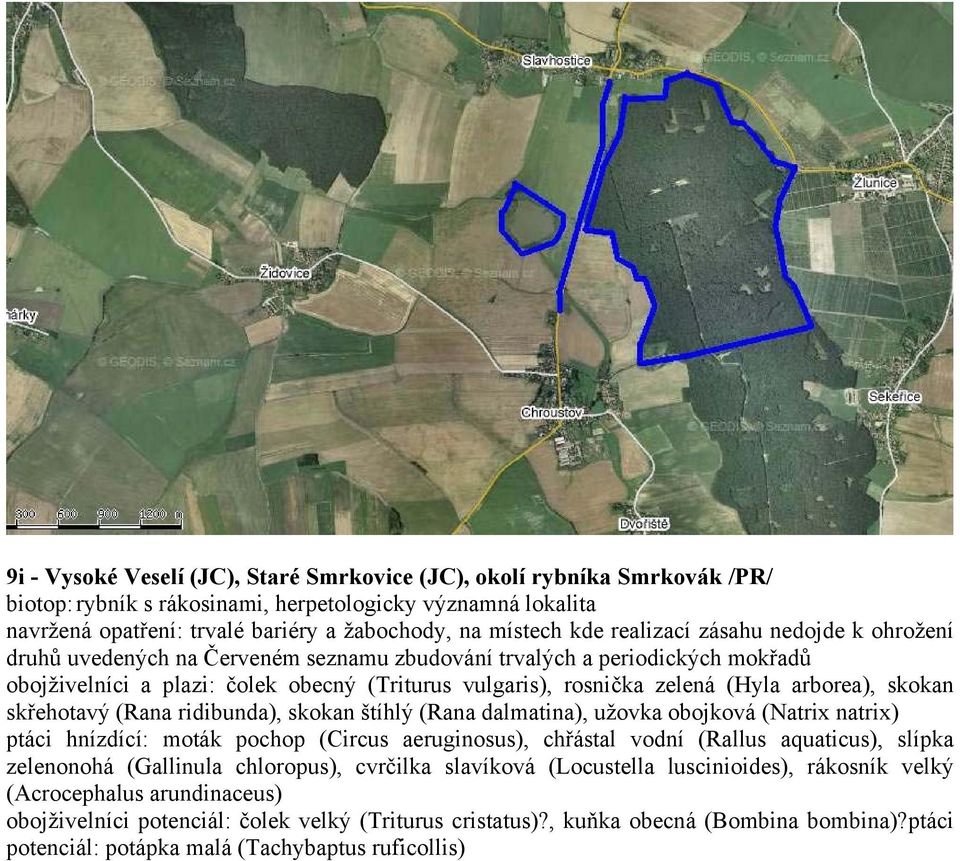 arborea), skokan skřehotavý (Rana ridibunda), skokan štíhlý (Rana dalmatina), užovka obojková (Natrix natrix) ptáci hnízdící: moták pochop (Circus aeruginosus), chřástal vodní (Rallus aquaticus),