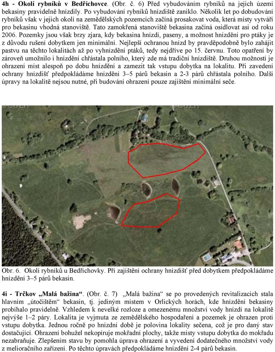 Tato zamokřená stanoviště bekasina začíná osidlovat asi od roku 2006. Pozemky jsou však brzy zjara, kdy bekasina hnízdí, paseny, a možnost hnízdění pro ptáky je z důvodu rušení dobytkem jen minimální.