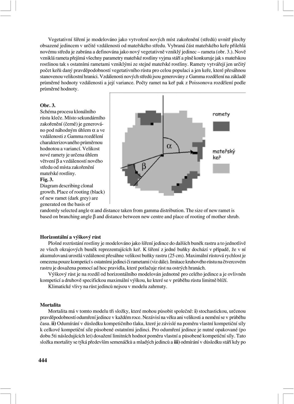 Nově vzniklá rameta přejímá všechny parametry mateřské rostliny vyjma stáří a plně konkuruje jak s mateřskou rostlinou tak s ostatními rametami vzniklými ze stejné mateřské rostliny.