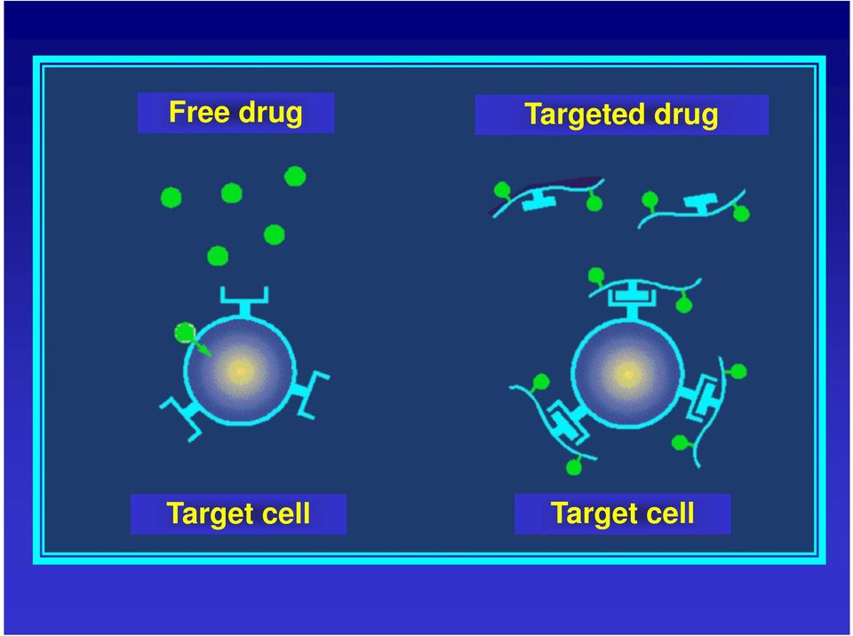 drug Target