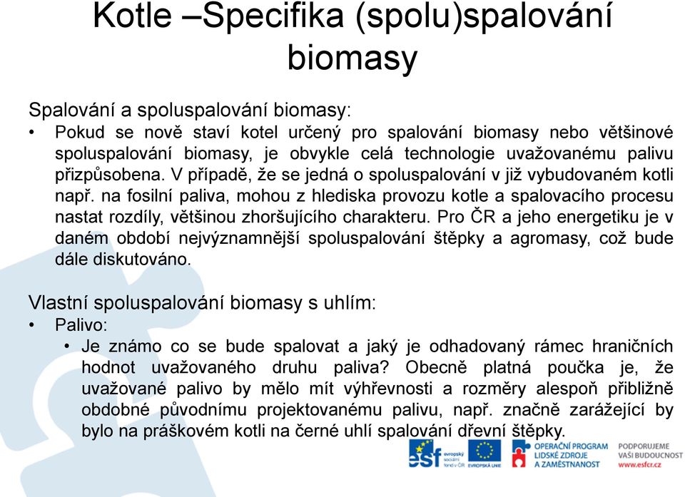 Pro ČR a jeho energetiku je v daném období nejvýznamnější spoluspalování štěpky a agromasy, což bude dále diskutováno.