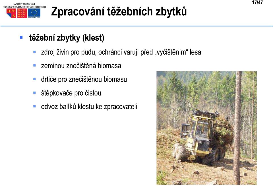 lesa zeminou znečištěná biomasa drtiče pro znečištěnou