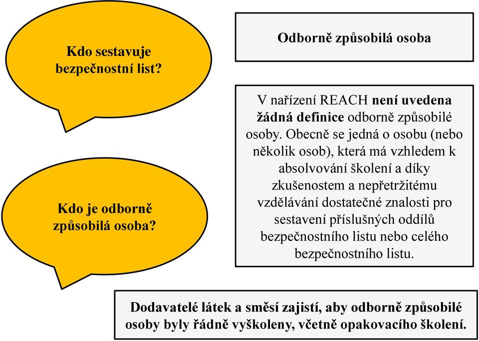 Obecně se jedná o osobu (nebo několik osob), která má vzhledem k absolvování školení a díky zkušenostem a nepřetržitému