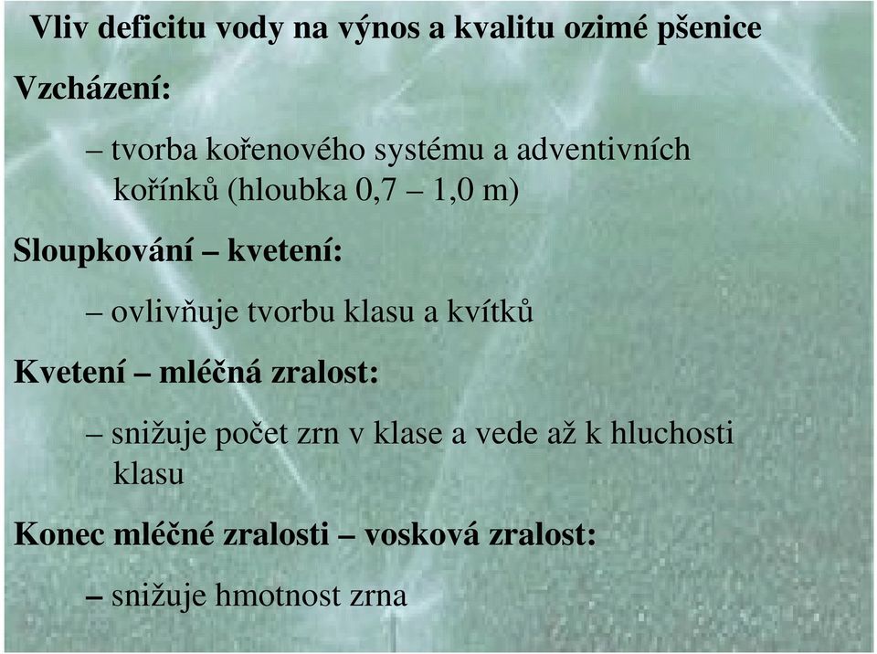 ovlivňuje tvorbu klasu a kvítků Kvetení mléčná zralost: snižuje počet zrn v