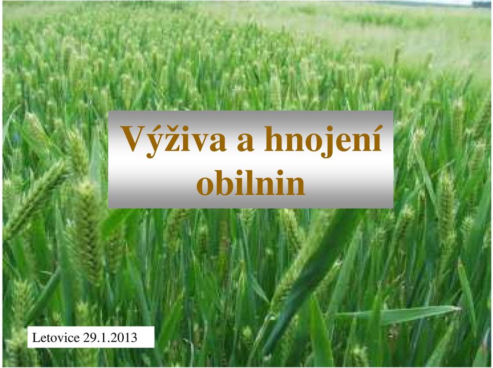 obilnin