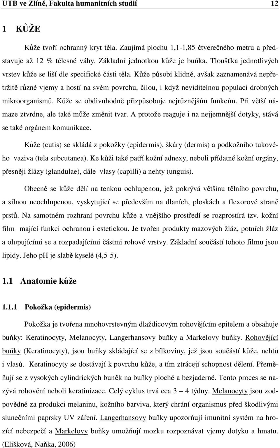 Kůže působí klidně, avšak zaznamenává nepřetržitě různé vjemy a hostí na svém povrchu, čilou, i když neviditelnou populaci drobných mikroorganismů.