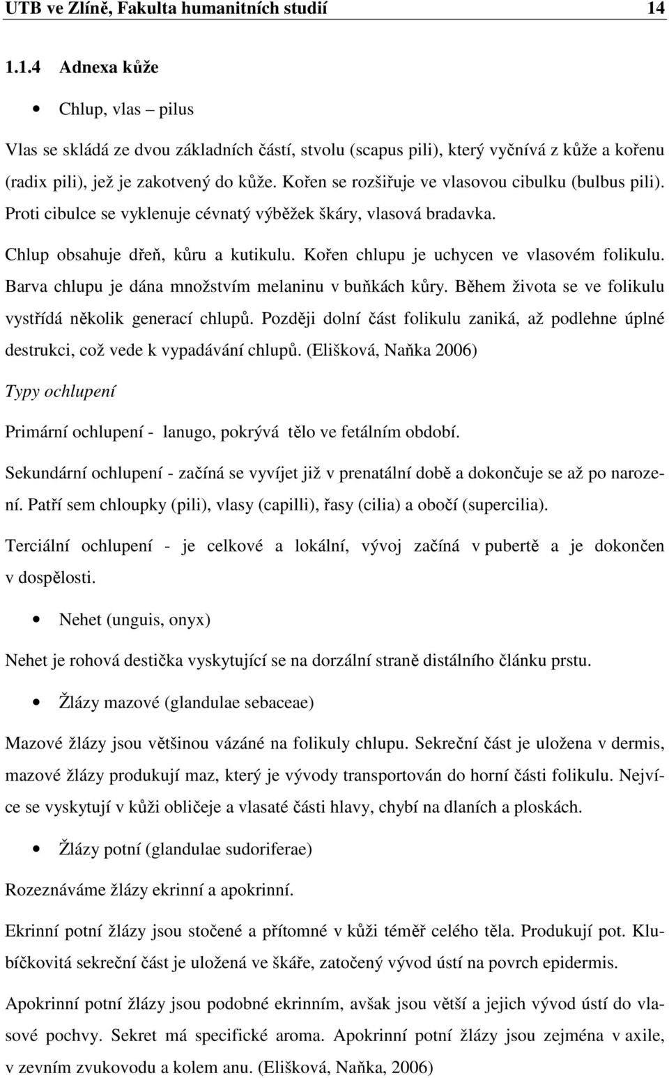 Kořen se rozšiřuje ve vlasovou cibulku (bulbus pili). Proti cibulce se vyklenuje cévnatý výběžek škáry, vlasová bradavka. Chlup obsahuje dřeň, kůru a kutikulu.