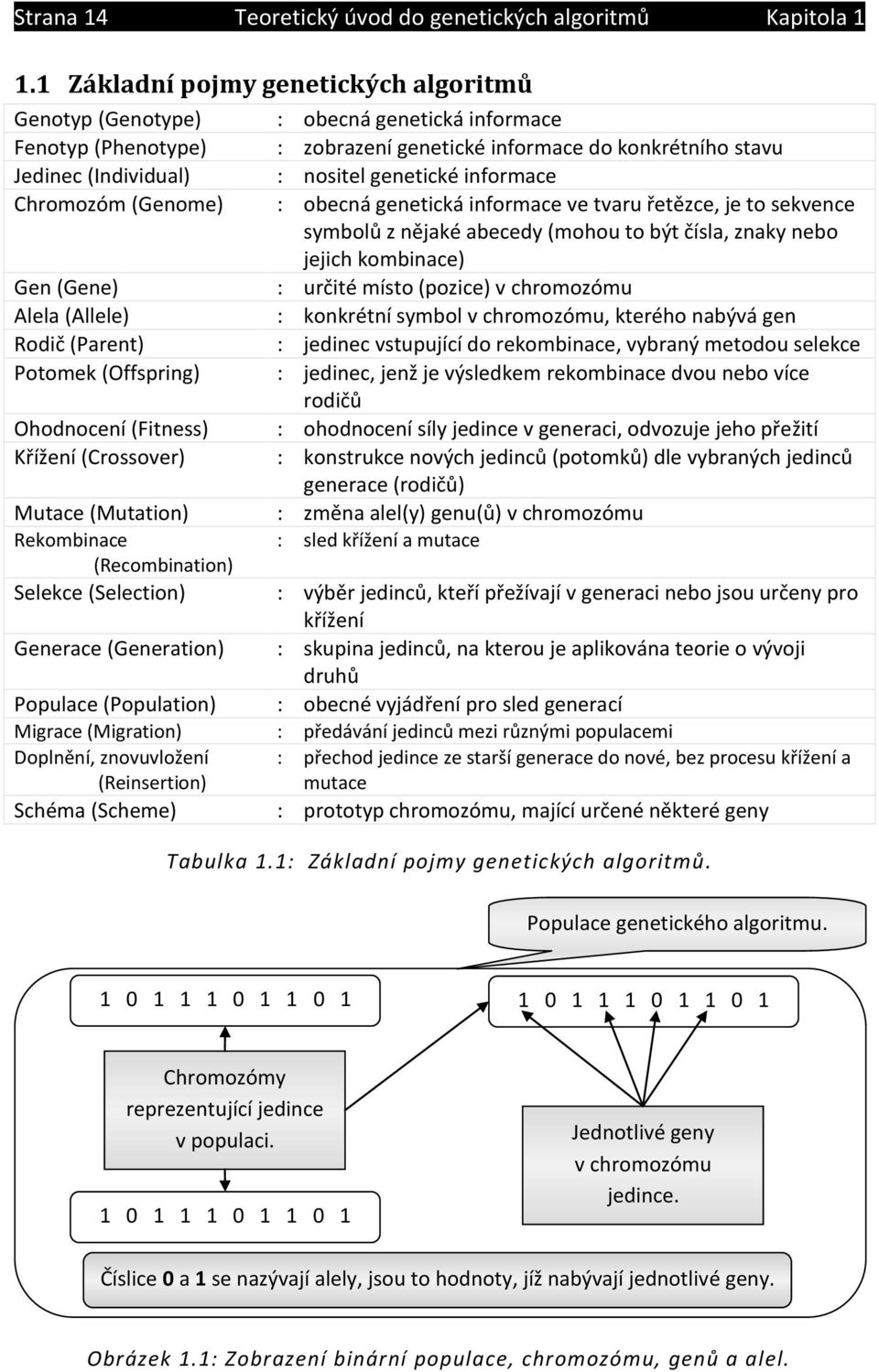 genetické informace Chromozóm (Genome) : obecná genetická informace ve tvaru řetězce, je to sekvence symbolů z nějaké abecedy (mohou to být čísla, znaky nebo jejich kombinace) Gen (Gene) : určité