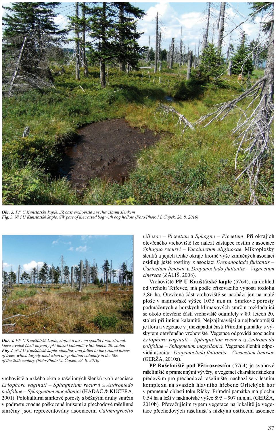 NM U Kunštátské kaple, standing and fallen to the ground torsos of trees, which largely died when air pollution calamity in the 80