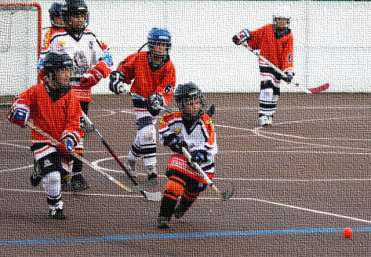 Regionální svaz hokejbalu západ Dům dětí a mládeže Blovice si dovolují pozvat občany Blovic a okolí na HOKEJBALOVÝ TURNAJ dětí věkové kategorie přípravka (9 11 let) Turnaj je součástí celoroční série