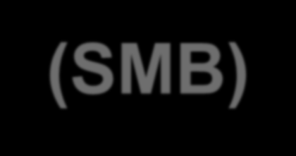 Simulated moving bed (SMB) TMB - teoretický případ Při reálných aplikacích SMB Ex 4 F Elu 4 Ex s A 3