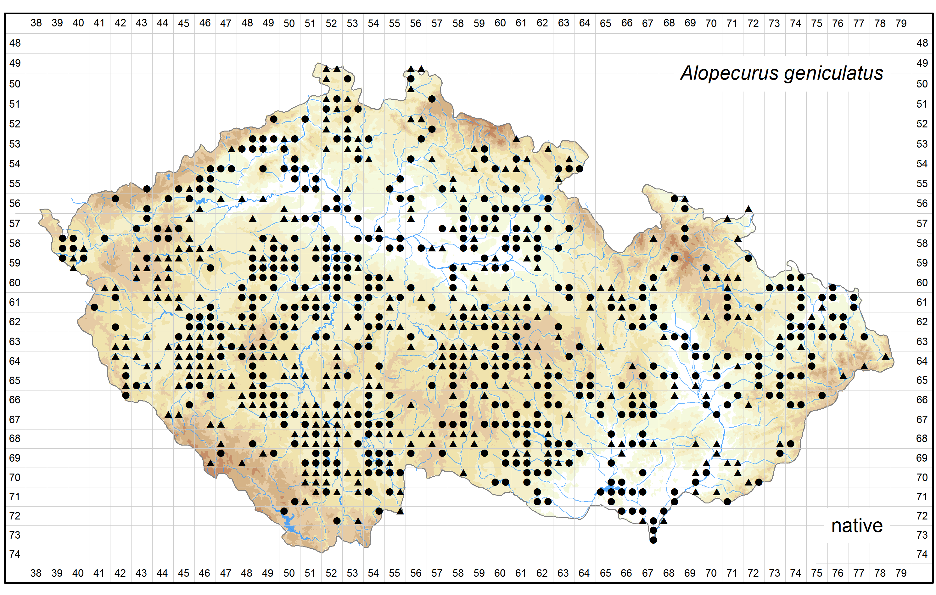 Distribution of Alopecurus geniculatus in the Czech Republic Author of the map: Petr Bureš, Jiří Danihelka Map produced on: 18-11-2015 Database records used for producing the distribution map of