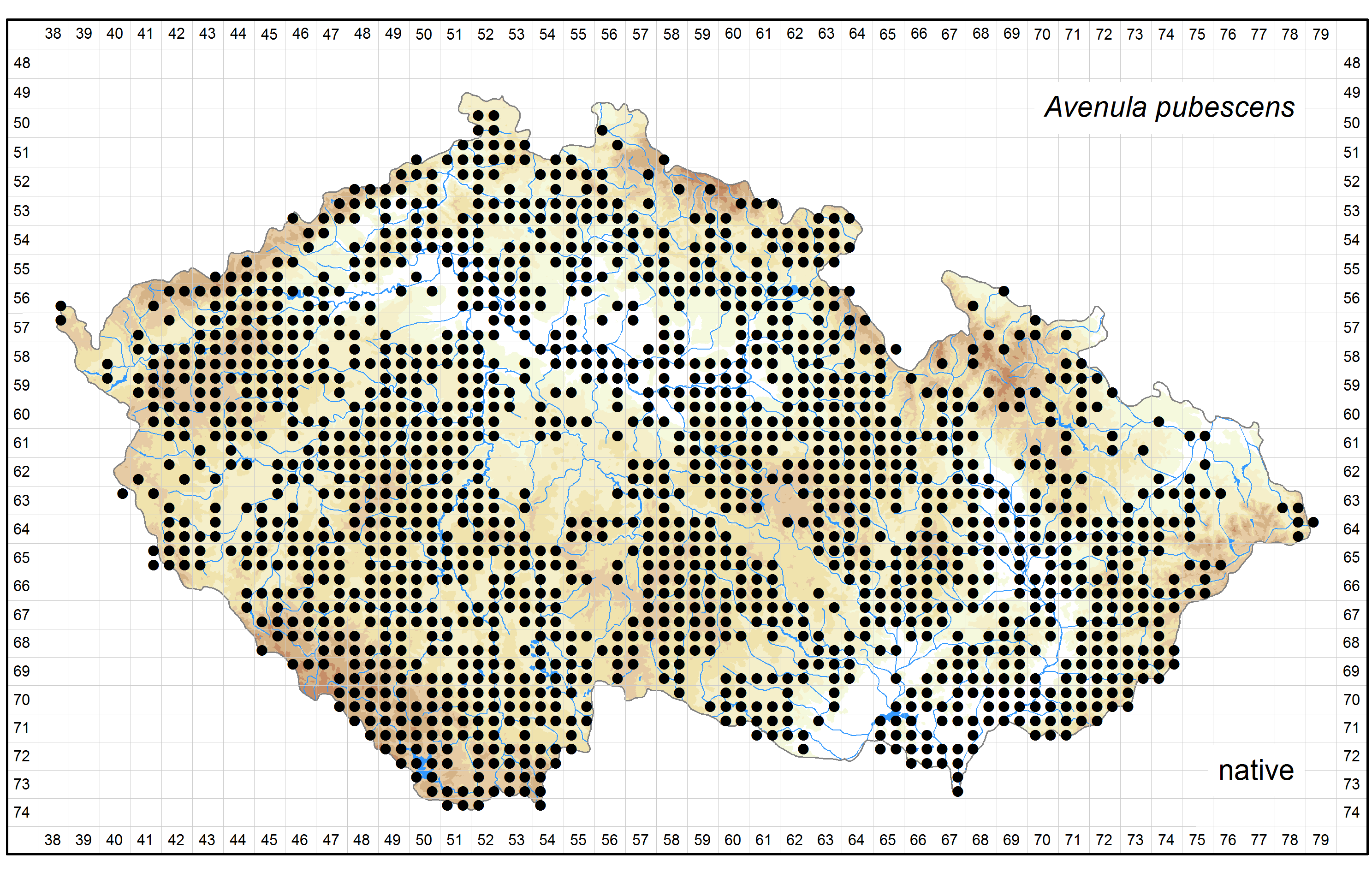 Distribution of Avenula pubescens in the Czech Republic Author of the map: Jiří Zázvorka Map produced on: 12-05-2016 Database records used for producing the distribution map of Avenula pubescens