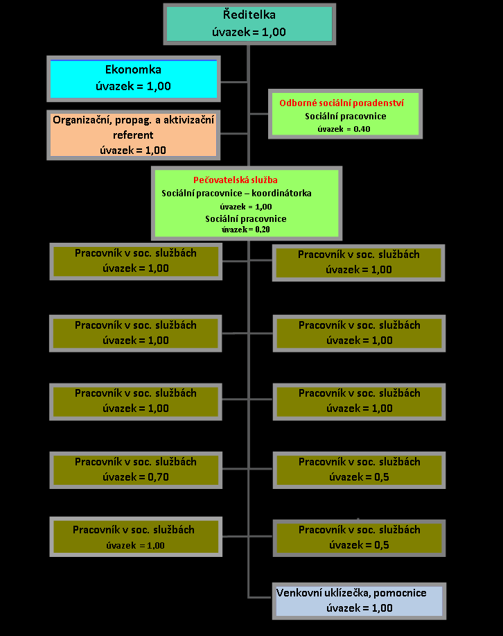 Organizační struktura Celkem