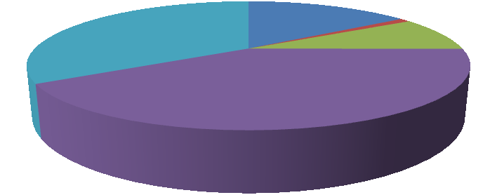 Jak je zřejmé z Tabulky 7, 287 požárů z celkových 617, tedy přibližně 46% požárů, zůstalo v roce 2010 neobjasněno, popřípadě jejich příčina nebyla dále došetřována.