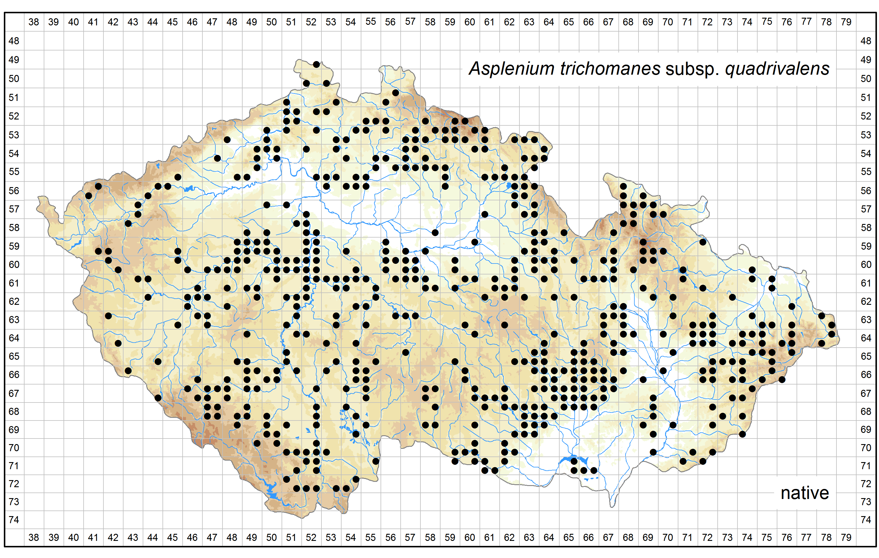 Distribution of Asplenium trichomanes subsp.