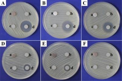 Inkorporace antibiotik Various methods of incorporating biocides into electrospun nanofibers.