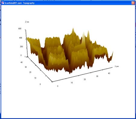 1.3. Práce s výsledky úpravy a zpracování dat Naměřená data lze zpracovat přímo v programu pomocí software Image Tools, který se otevře automaticky se zobrazením naměřených dat.