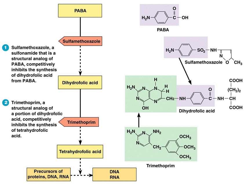 Inhibice metabolismu kys.