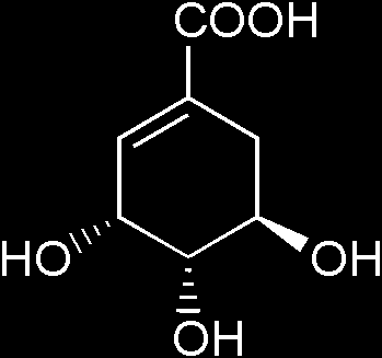 sekundární metabolismus klíčové intermediáty: sacharidy šikimová kyselina a/nebo aromatické kyseliny nearomatické aminokyseliny C1 sloučeniny krátké mastné