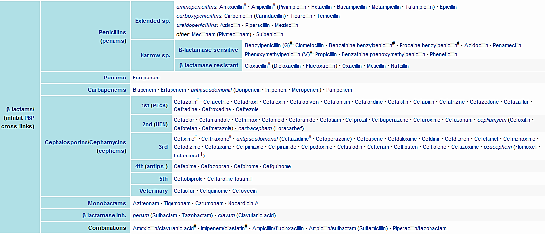 β-laktamy peniciliny cefalosporiny