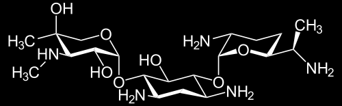 Aminoglykosidy 1944 streptomycin, účinek proti mykobakteriím (tuberkulóza) základní