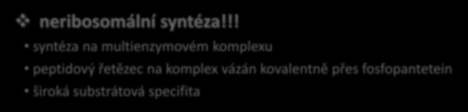 Polypeptidy základní struktura: peptid (10-15 ak), často cyklický atypické ak (amino-, hydroxy-, D-) produkce: rod Bacillus neribosomální syntéza!