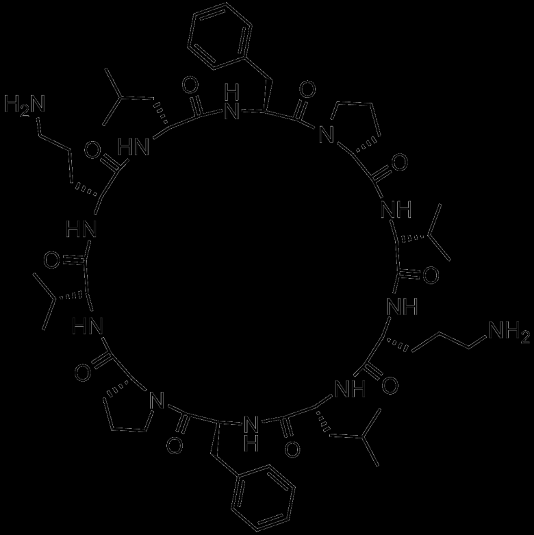 Gramicidin S produkce: Bacillus brevis cyklický