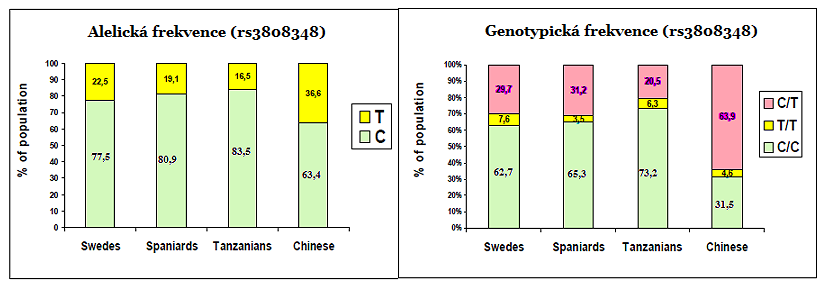 RS číslo alela KRK (%, 95) Kontroly (%, 95) OR (%, 95) p q bez RS čísla rs3735684 rs3808348 173A 201 (67,0; 61,7-72,3) 352 (66,9; 62,9-70,9) 173C 99 (33,0; 27,7-38,3) 174 (33,1; 29,1-37,1) 541G 287