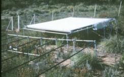 cz 101 GARRAF EXPERIMENTAL STUDY AREA Shrubland 3 Control plots 3 Warming treatment plots WARMING