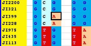 Analýza DNA křížení