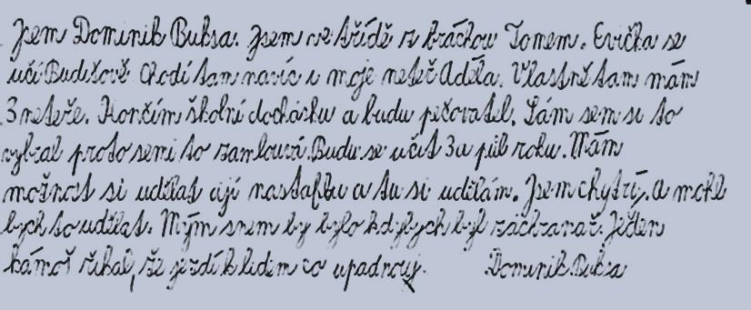 A nakonec nám napsal Dominik, který navštěvoval naší školu i se svým bratrem Tomem. Oběma klukům přejeme v životě hodně štěstí a snad o nich ještě někdy uslyšíme.