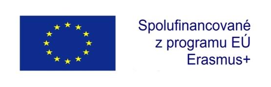 Vyhodnotenie prieskumu: Identifikácia potrieb trhu práce pre odborné vzdelávanie v Slovenskej republike V rámci